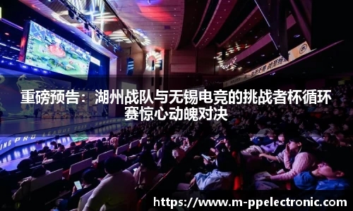 pp电子官网