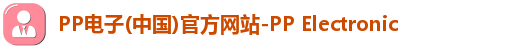 pp电子